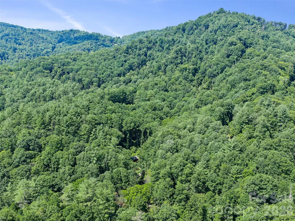 3301 State Highway 197 Burnsville, NC 28714