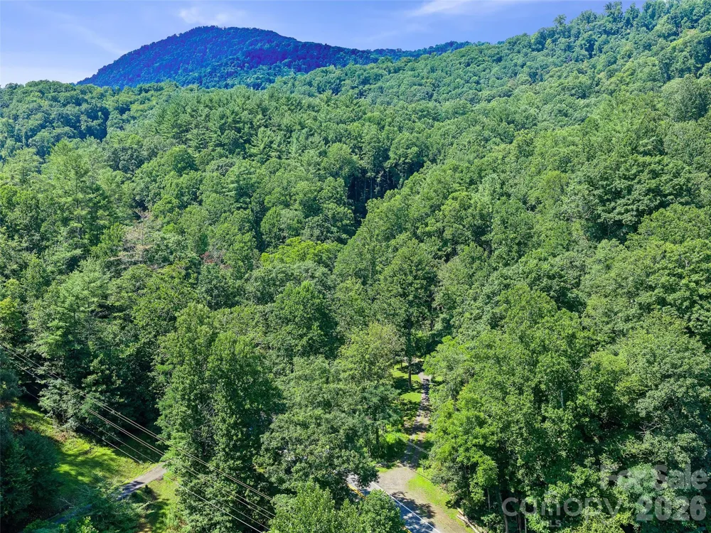 3301 State Highway 197 Burnsville, NC 28714