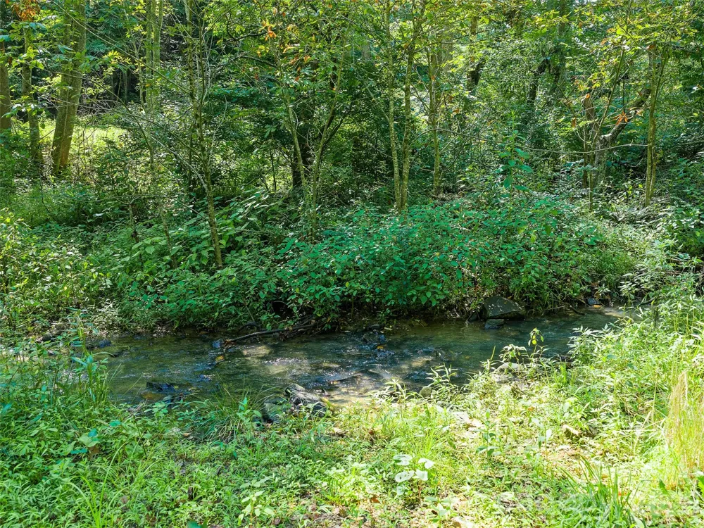 3301 State Highway 197 Burnsville, NC 28714