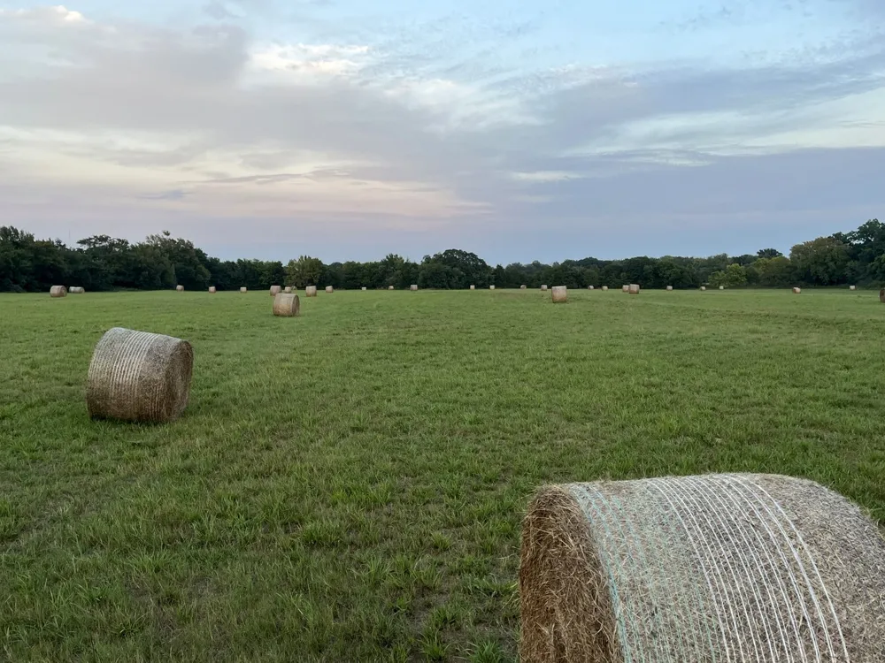 60 Ribbonwood Trail Collinsville, TX 76233
