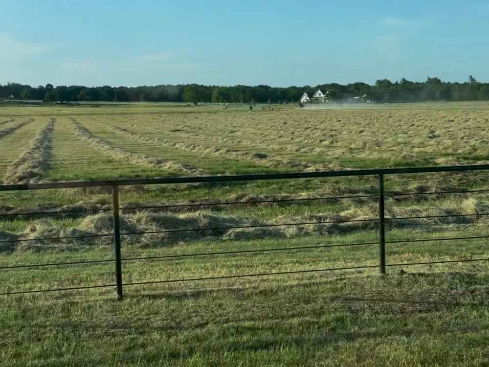 60 Ribbonwood Trail Collinsville, TX 76233