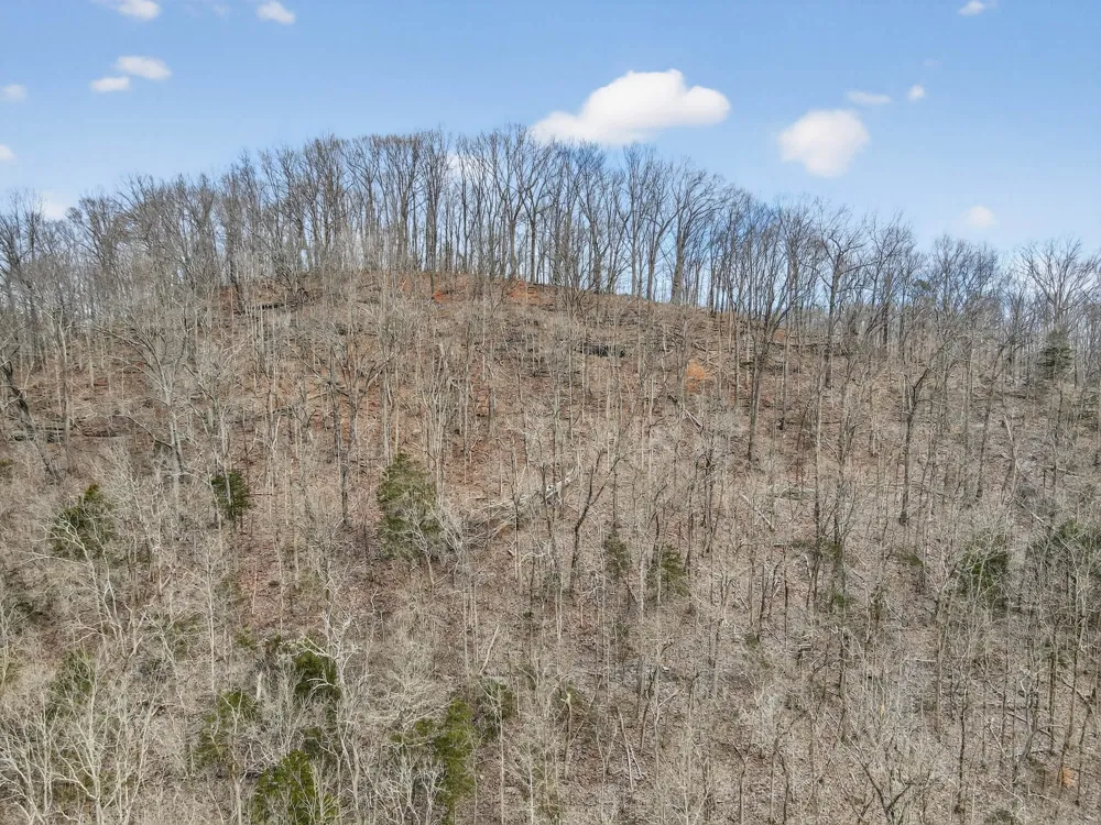 0 Sycamore Valley Rd Lafayette, TN 37083