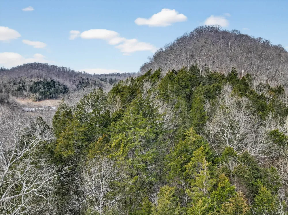 0 Sycamore Valley Rd Lafayette, TN 37083