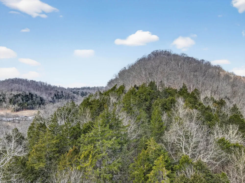 0 Sycamore Valley Rd Lafayette, TN 37083