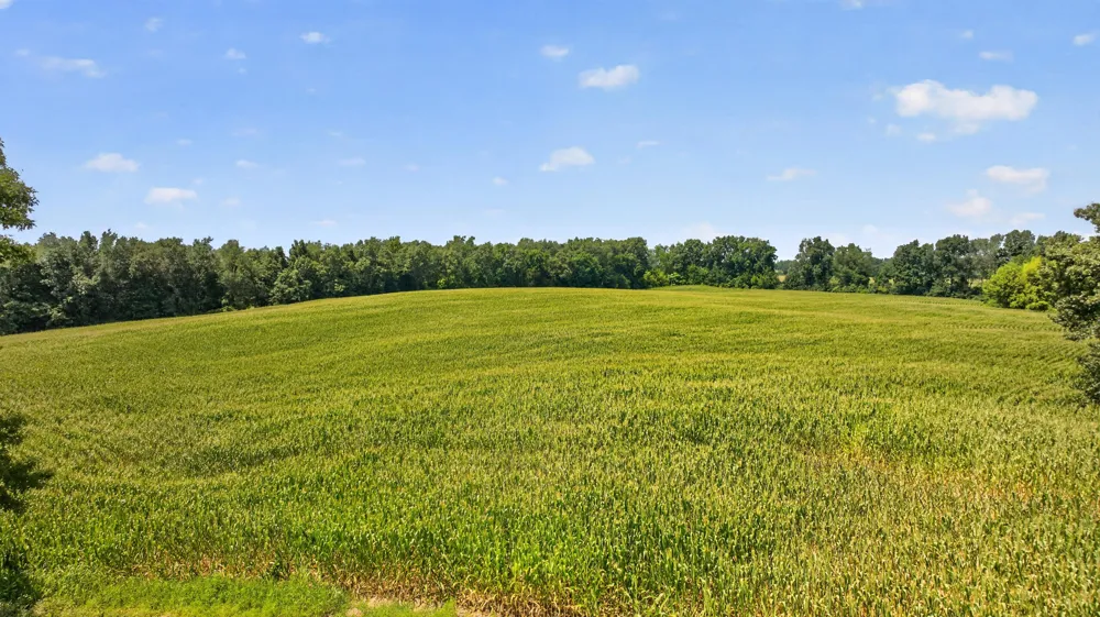 210 Union Horton, MI 49246