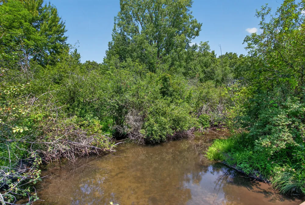 210 Union Horton, MI 49246
