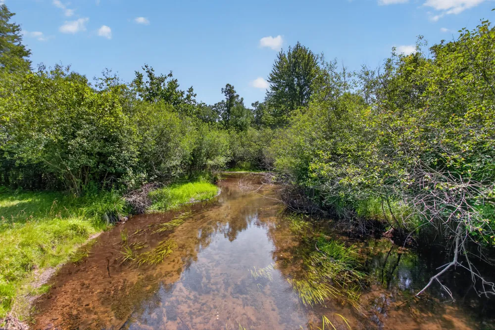 210 Union Horton, MI 49246