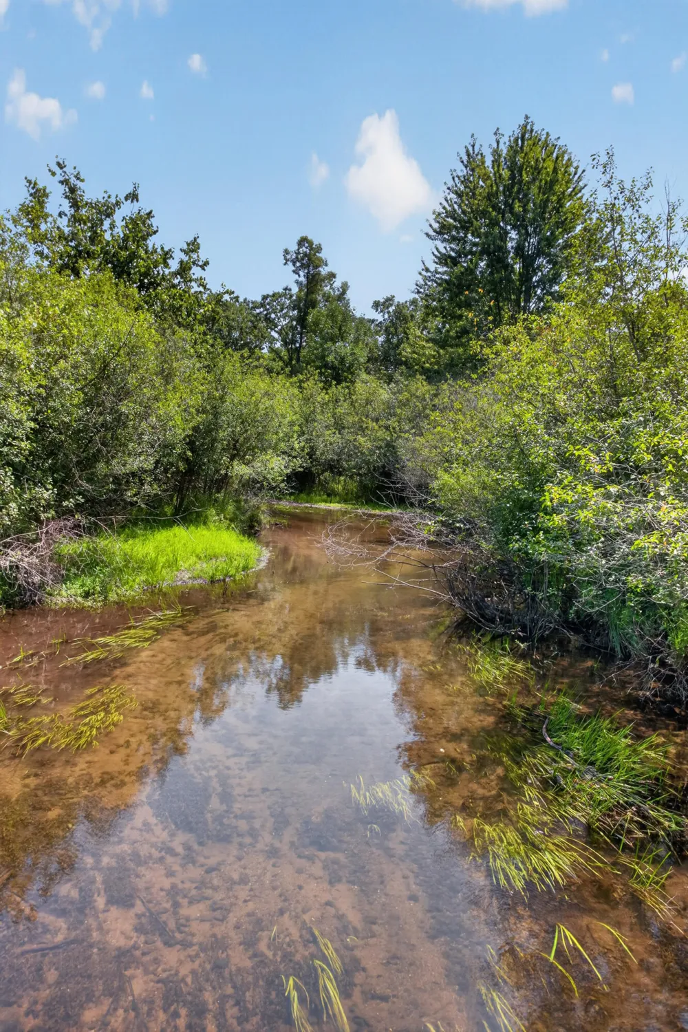210 Union Horton, MI 49246