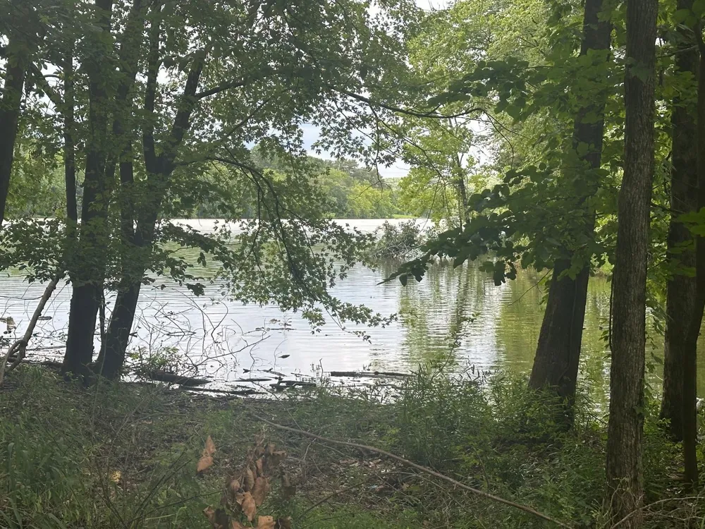 805 Pebble Cove Rd Lebanon, TN 37087