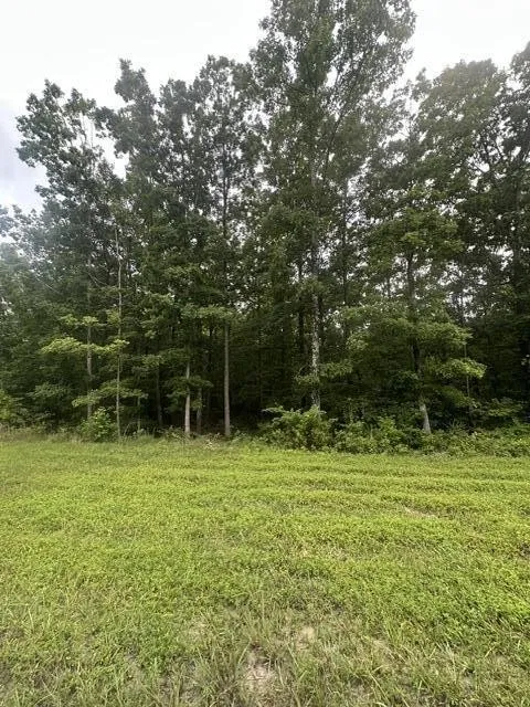 198 Kyuga Drive