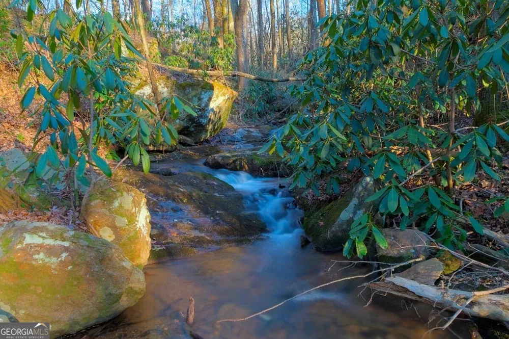 130 Mustang Creek RD Cleveland, GA 30528