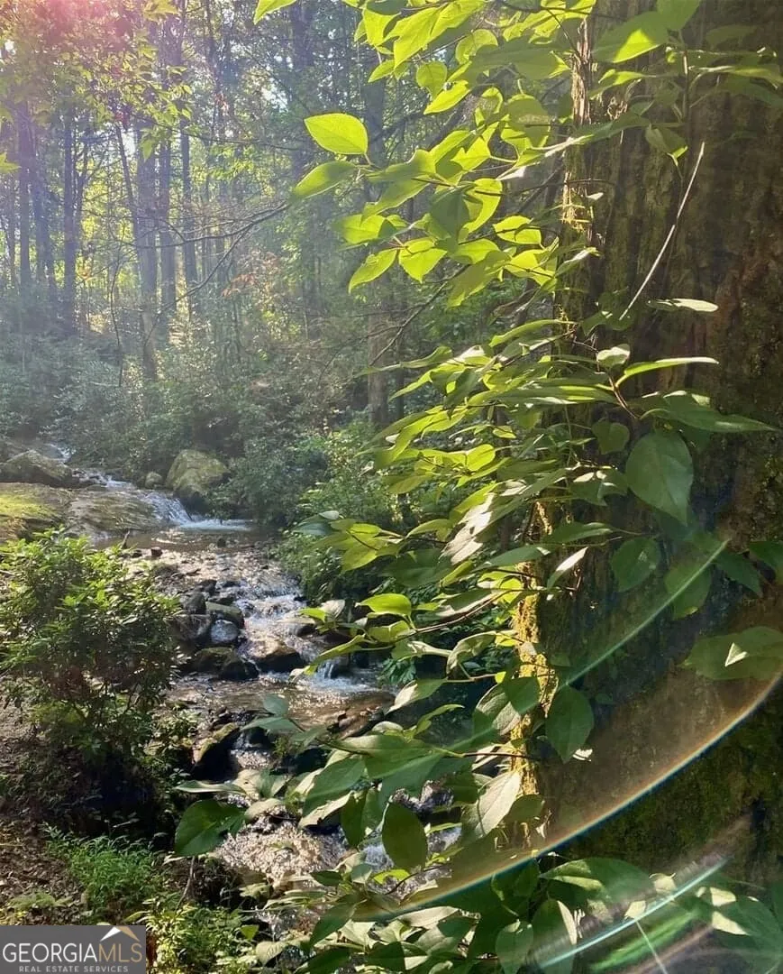 130 Mustang Creek RD Cleveland, GA 30528