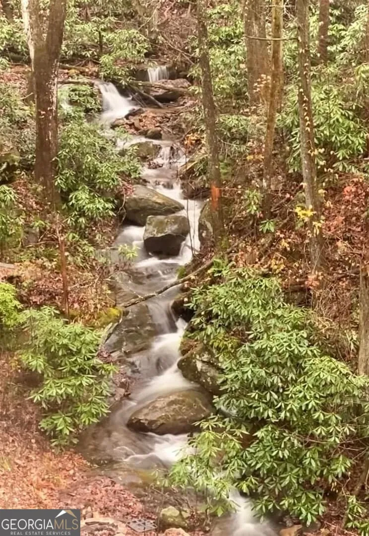 130 Mustang Creek RD Cleveland, GA 30528
