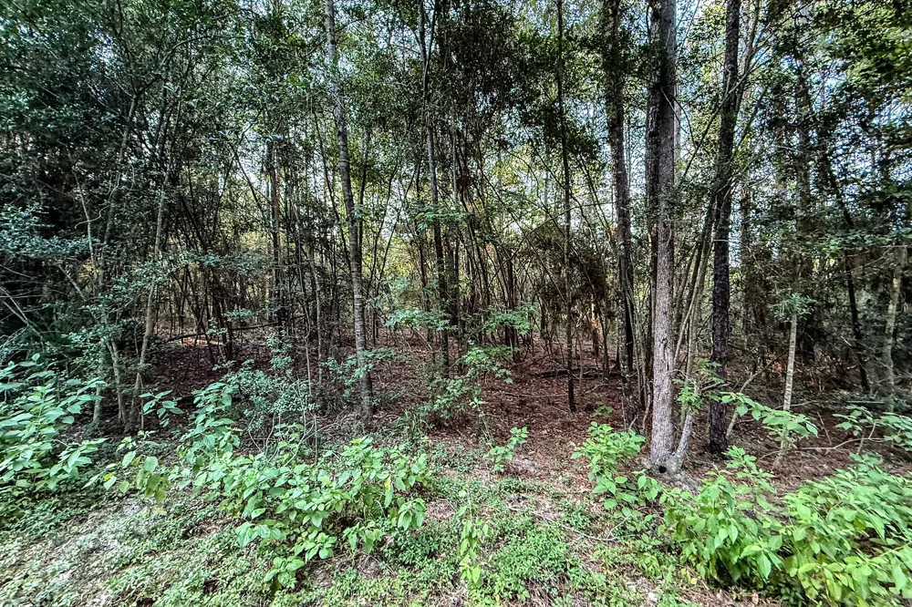 3 Sky Oak Lane Huntsville, TX 77340