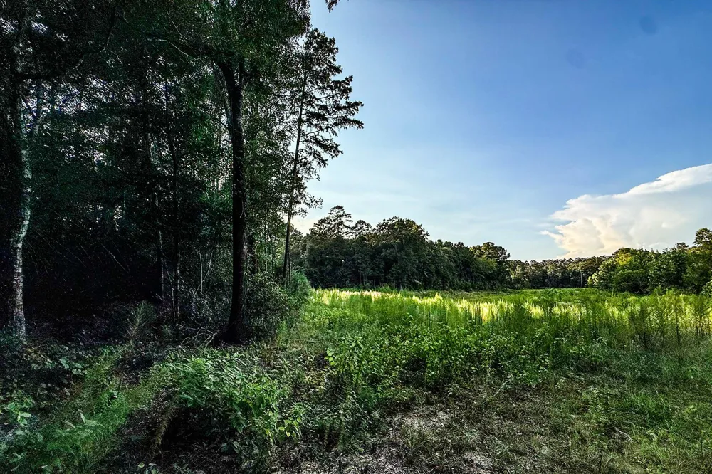 3 Sky Oak Lane Huntsville, TX 77340