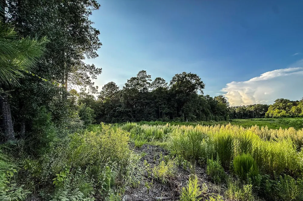 3 Sky Oak Lane Huntsville, TX 77340