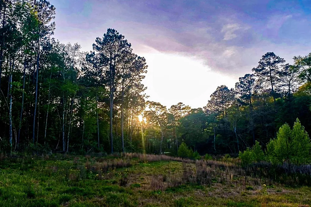 3 Sky Oak Lane Huntsville, TX 77340