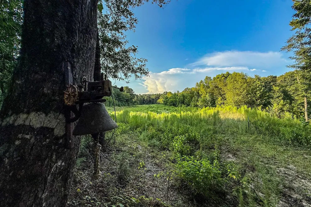 3 Sky Oak Lane Huntsville, TX 77340