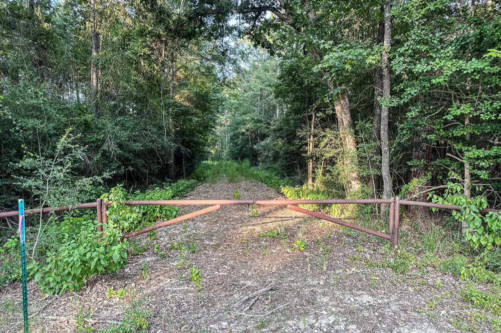 3 Sky Oak Lane Huntsville, TX 77340