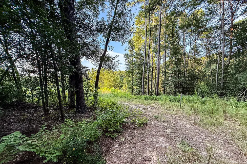3 Sky Oak Lane Huntsville, TX 77340