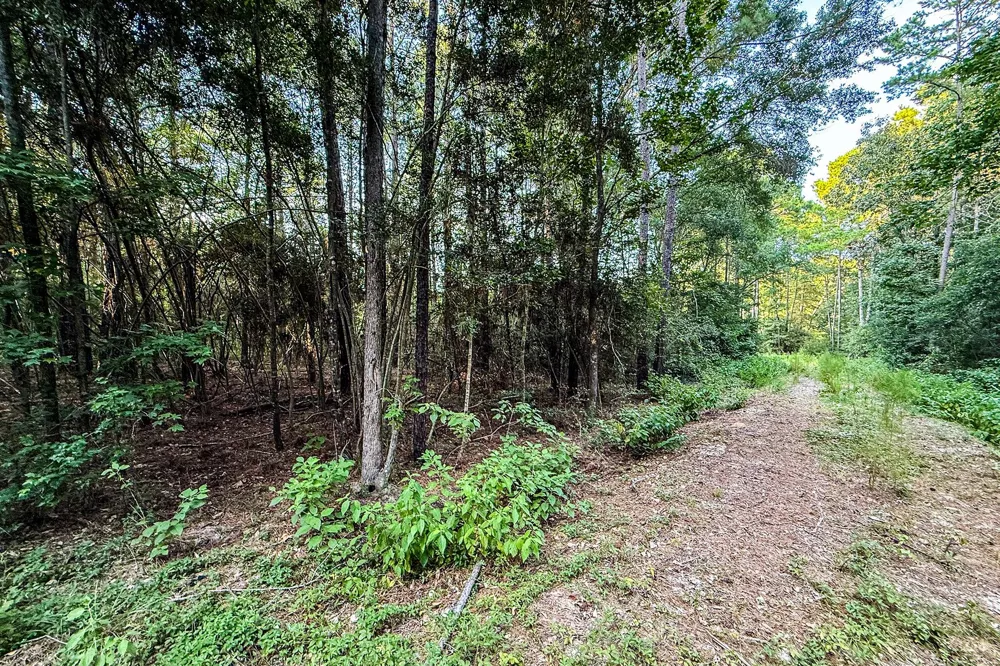 3 Sky Oak Lane Huntsville, TX 77340