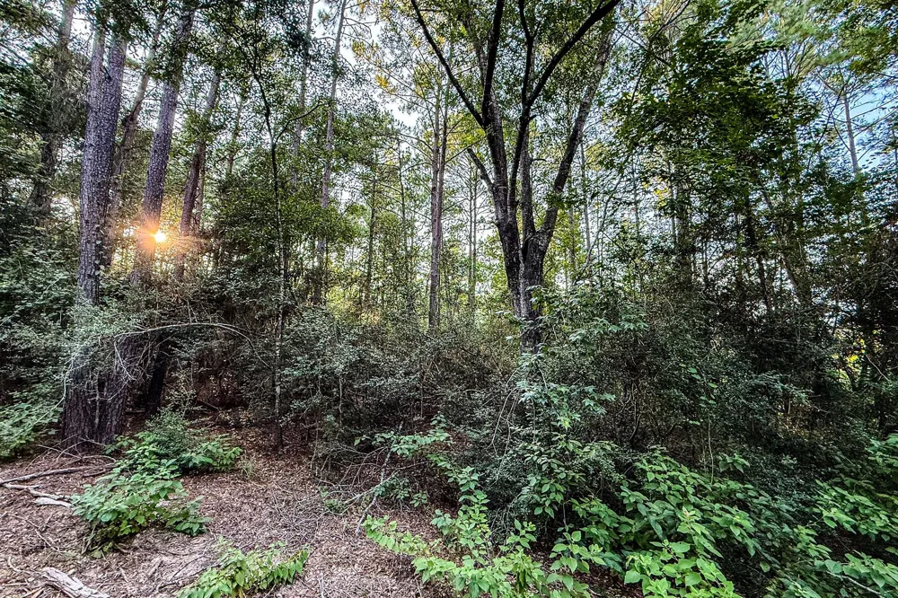 3 Sky Oak Lane Huntsville, TX 77340
