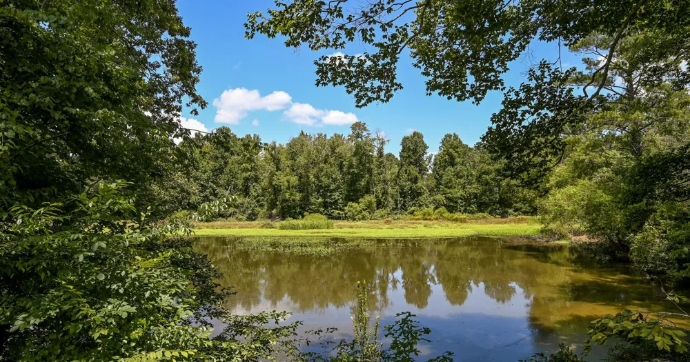 236 Sam Johnson Road NW Georgetown, TN 37336