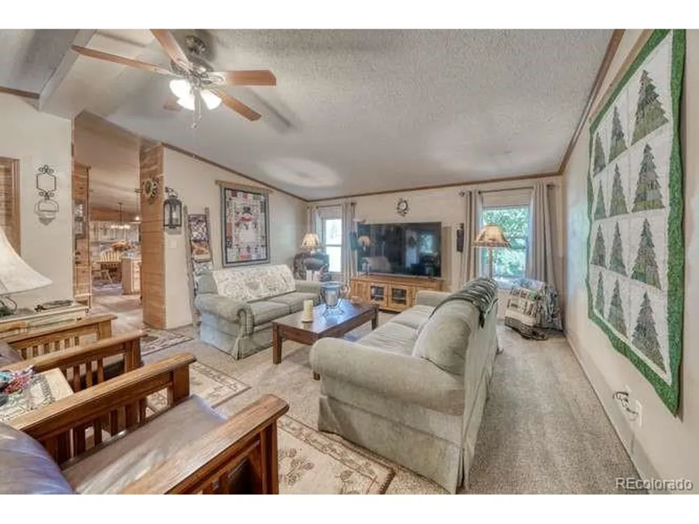 115 Arapahoe Road South Fork, CO 81154
