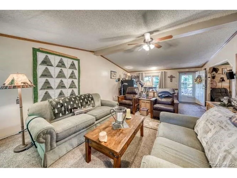 115 Arapahoe Road South Fork, CO 81154