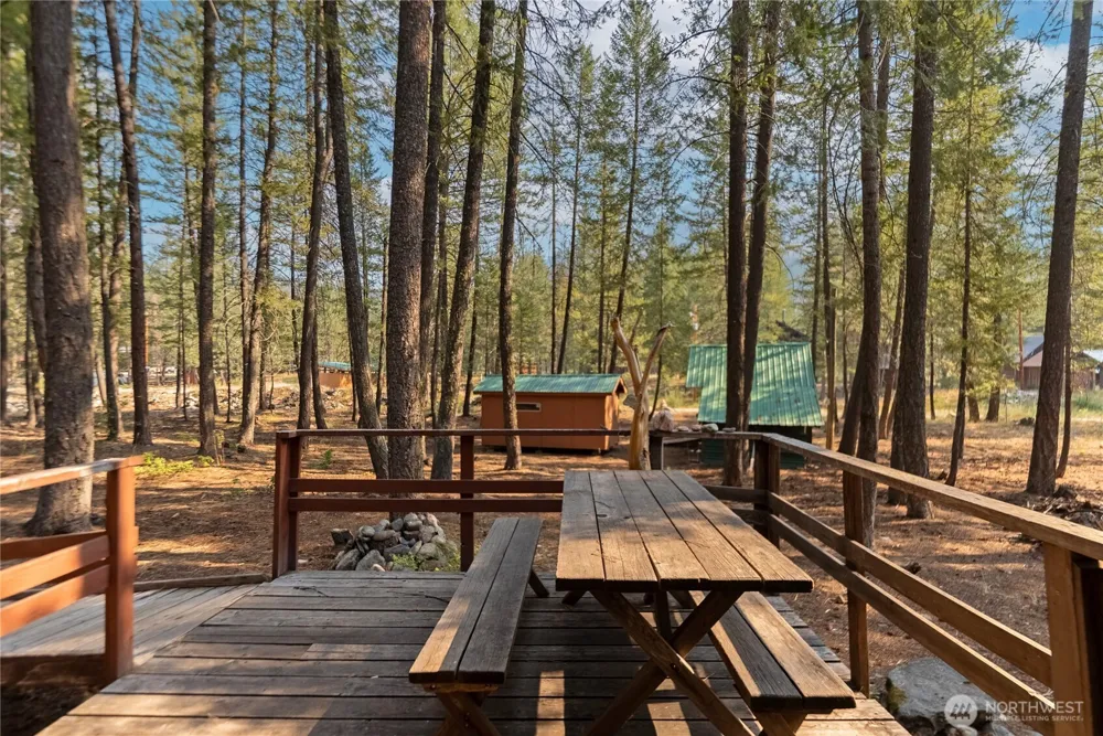 11 Susan Road Mazama, WA 98834