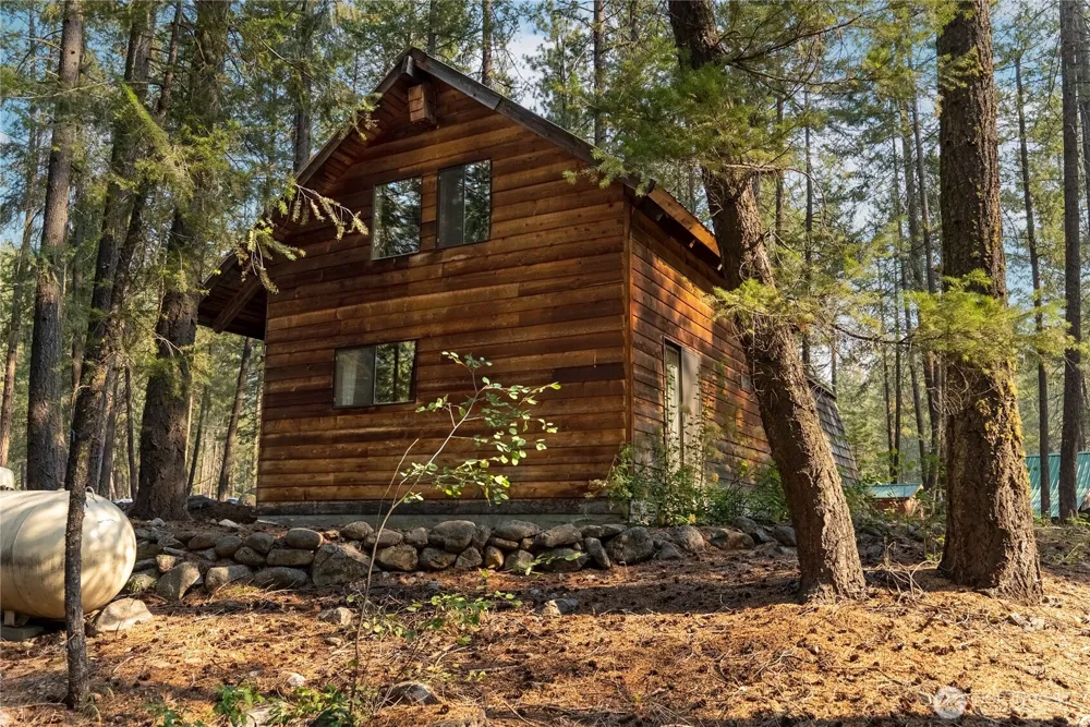 11 Susan Road Mazama, WA 98834