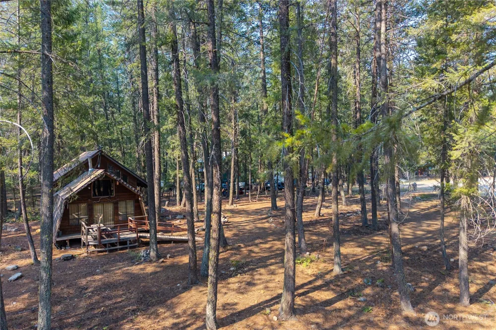 11 Susan Road Mazama, WA 98834