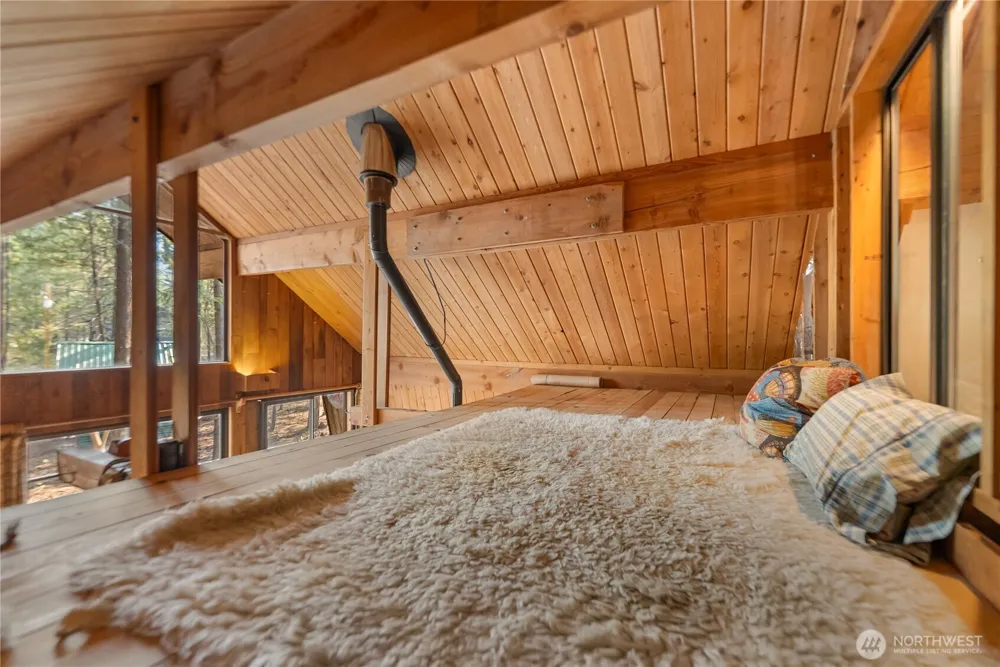 11 Susan Road Mazama, WA 98834