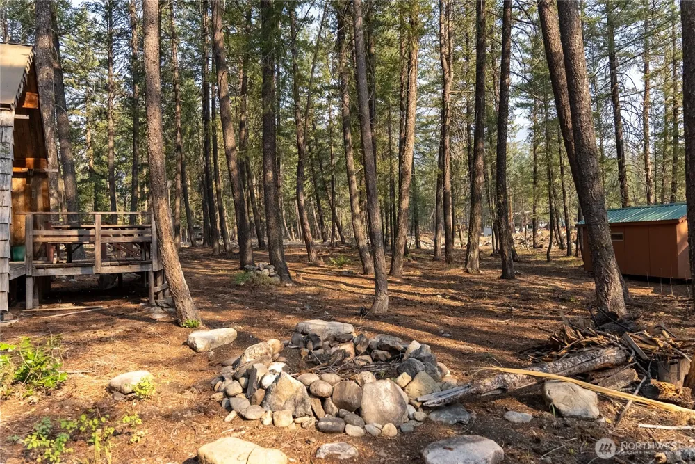 11 Susan Road Mazama, WA 98834