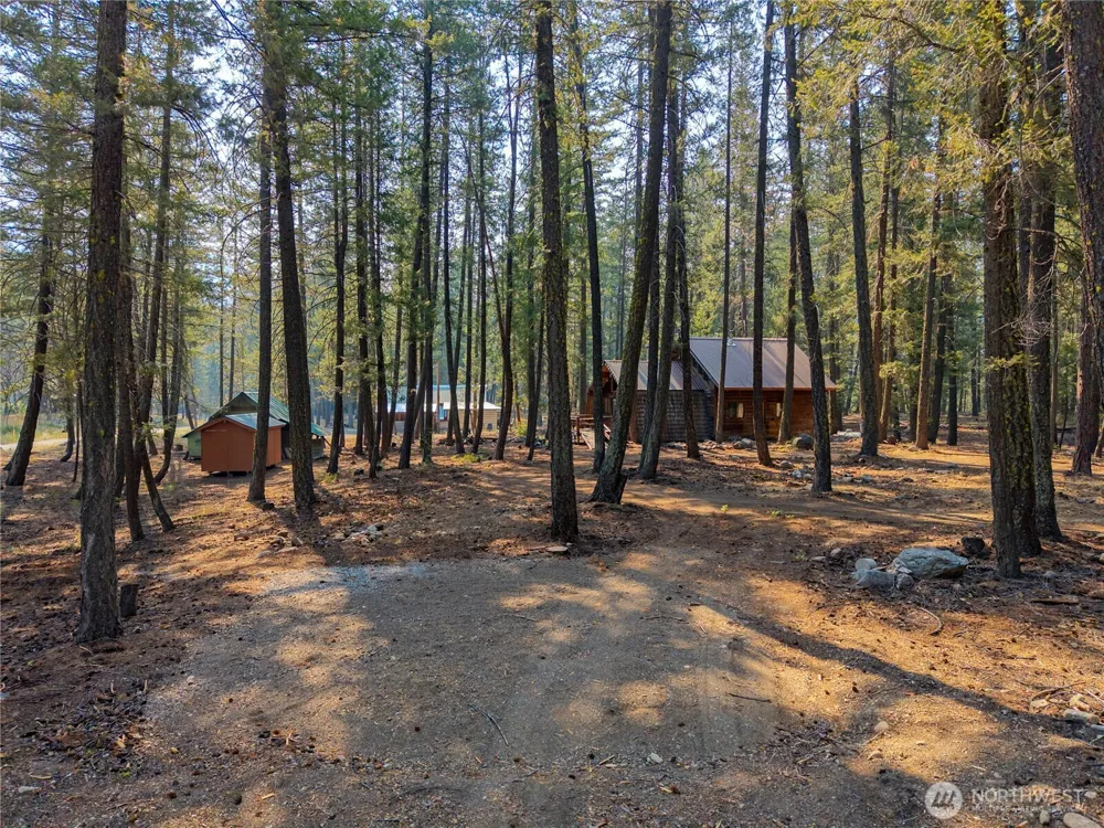 11 Susan Road Mazama, WA 98834