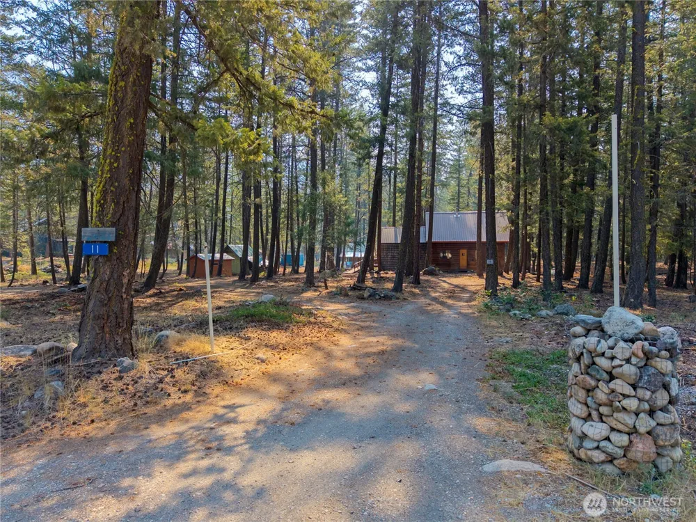 11 Susan Road Mazama, WA 98834