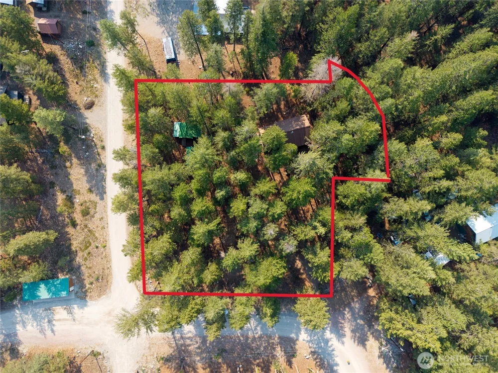 11 Susan Road Mazama, WA 98834