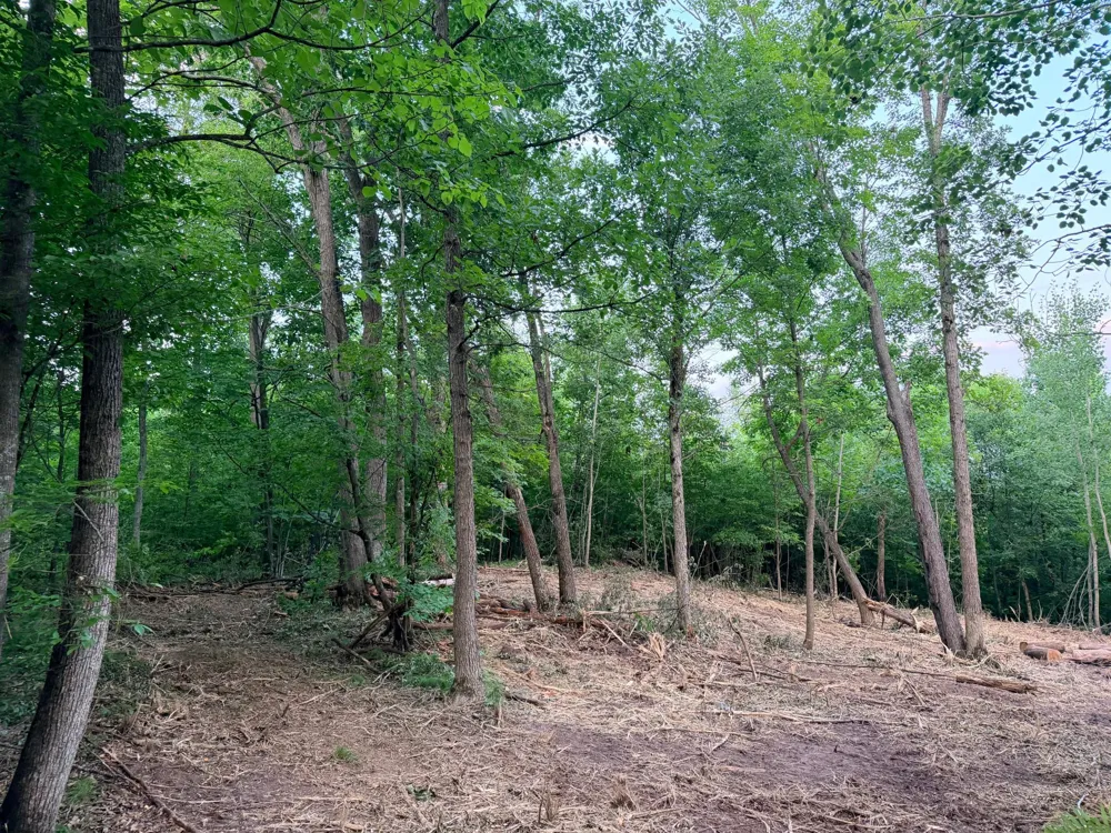 TBD Old Ferry Road Hinckley, MN 55037