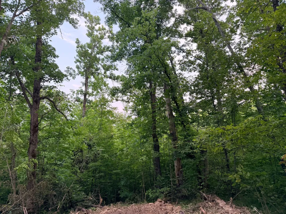 TBD Old Ferry Road Hinckley, MN 55037