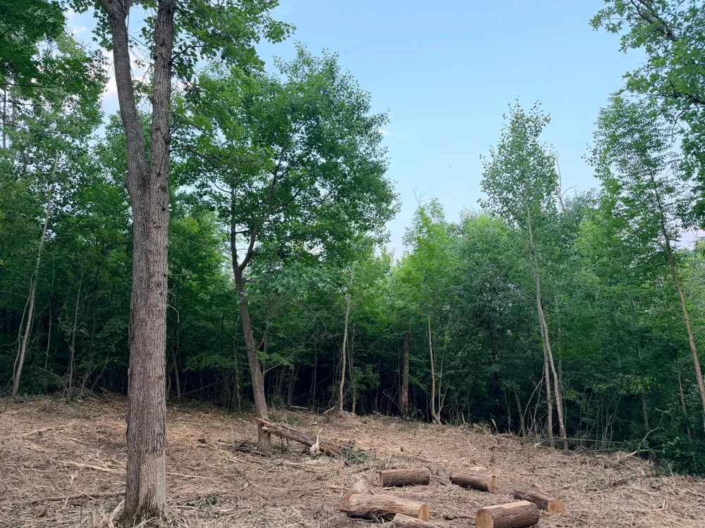 TBD Old Ferry Road Hinckley, MN 55037