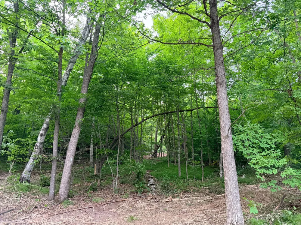 TBD Old Ferry Road Hinckley, MN 55037