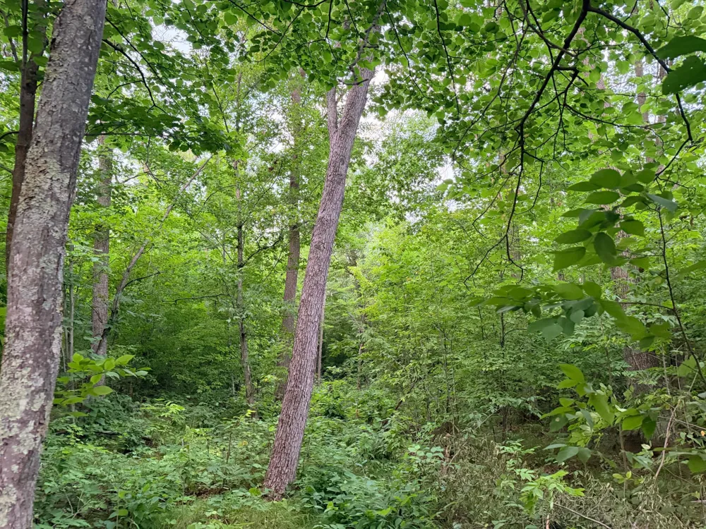 TBD Old Ferry Road Hinckley, MN 55037