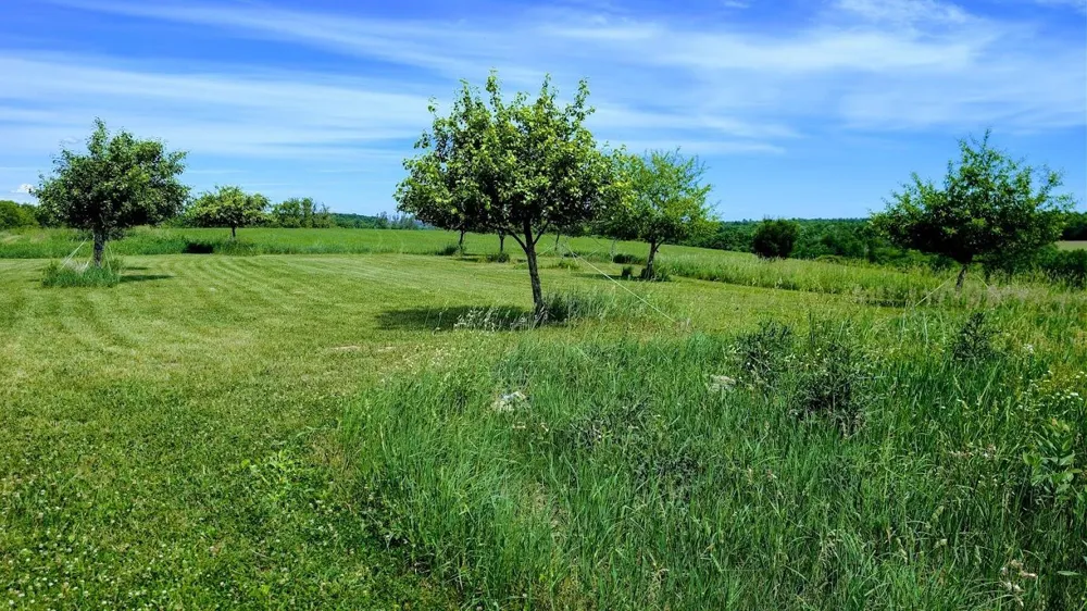 407 23rd Street Chetek, WI 54728