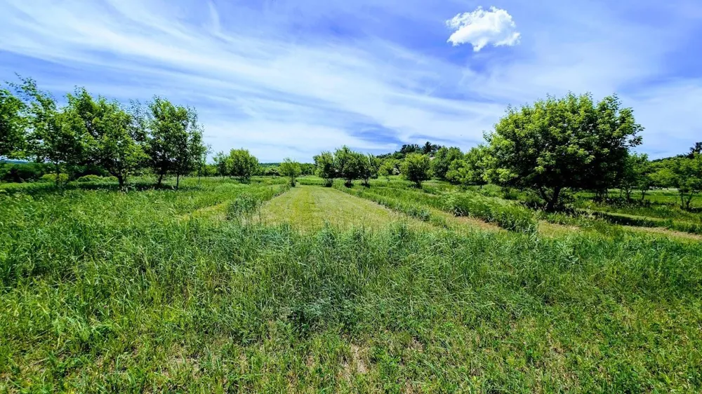 407 23rd Street Chetek, WI 54728