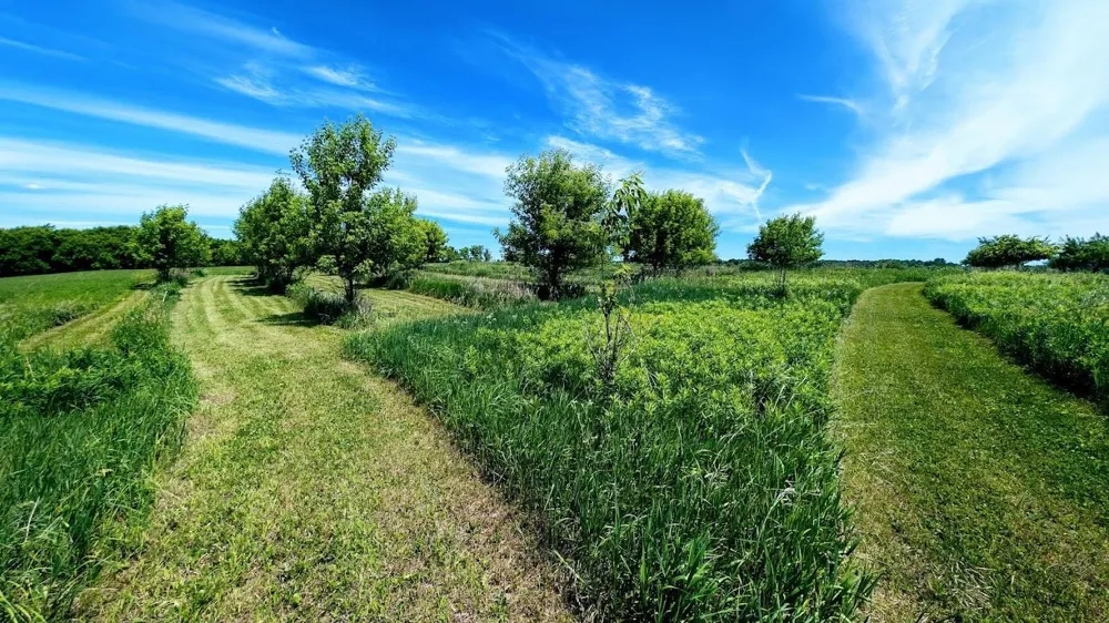 407 23rd Street Chetek, WI 54728