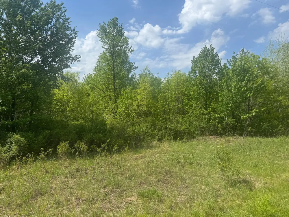 68xxx Old Ferry Road Hinckley, MN 55037