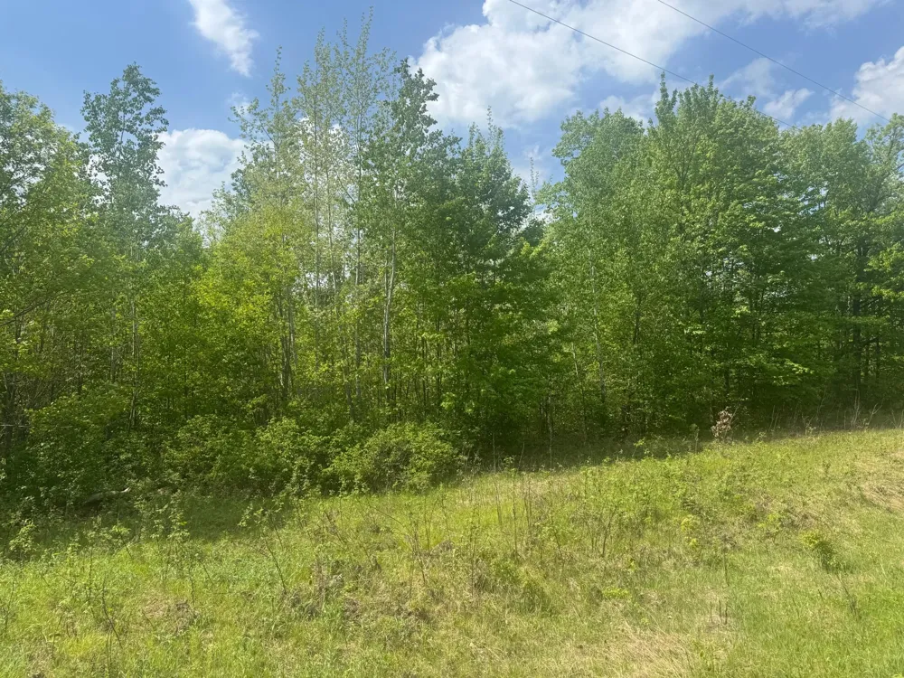 68xxx Old Ferry Road Hinckley, MN 55037