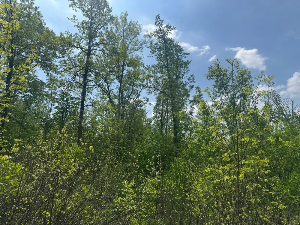 68xxx Old Ferry Road Hinckley, MN 55037