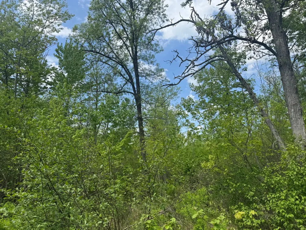 68xxx Old Ferry Road Hinckley, MN 55037