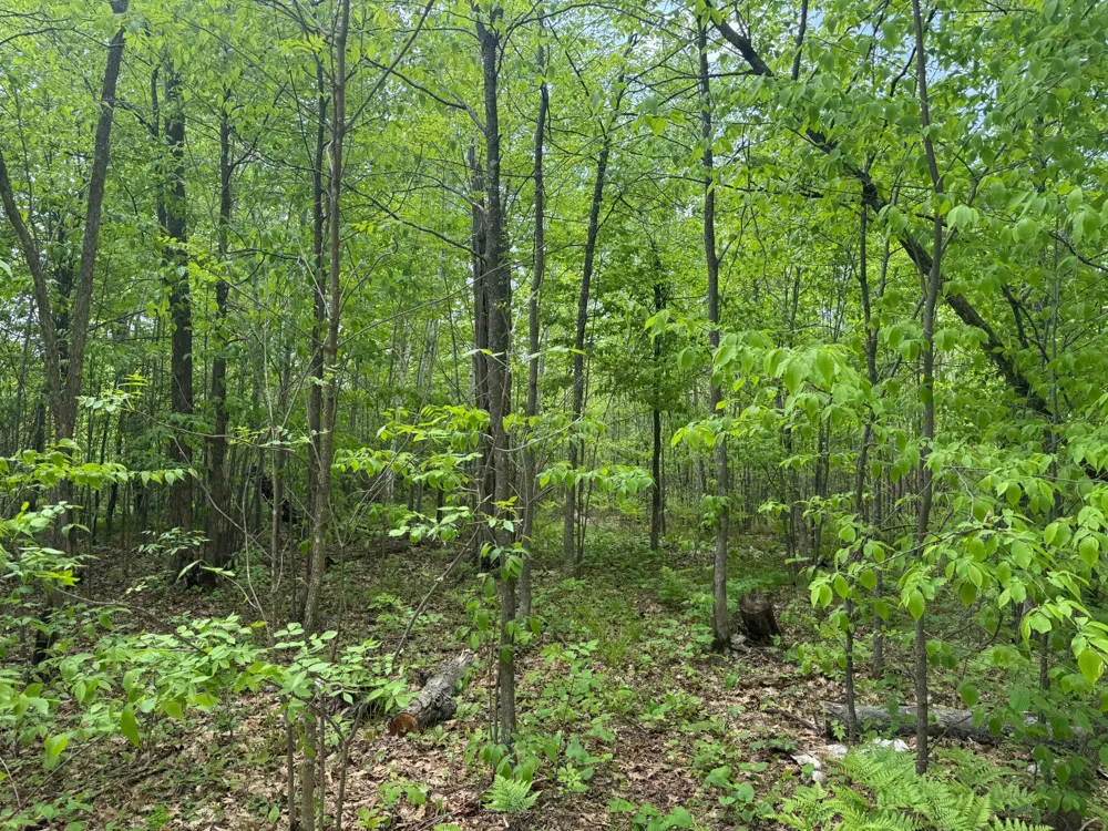 68xxx Old Ferry Road Hinckley, MN 55037